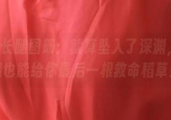 ROSI长腿图册：就算坠入了深渊，我的腿也能给你最后一根救命稻草！