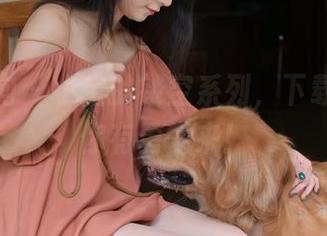 异思趣向 – 小宝的镂空系列，下载？只要你有勇气来！
