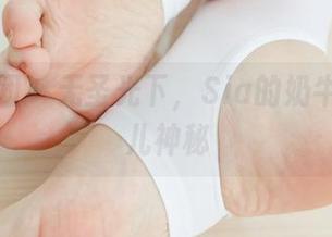 森萝财团 – 无圣光下，Sia的奶牛冒出点儿神秘
